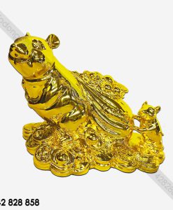 CHUỘT MẠ VÀNG M3