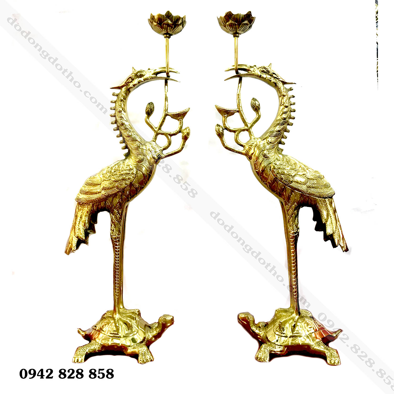 HẠC 60 ĐỒNG VÀNG